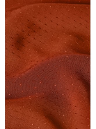 Camisa ribete dorado 2